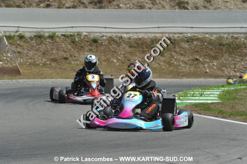 DSC_ (1836).JPG